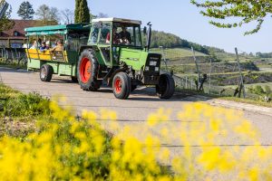 Weintrinker_Schroeder-Esch_2023-05 (11)